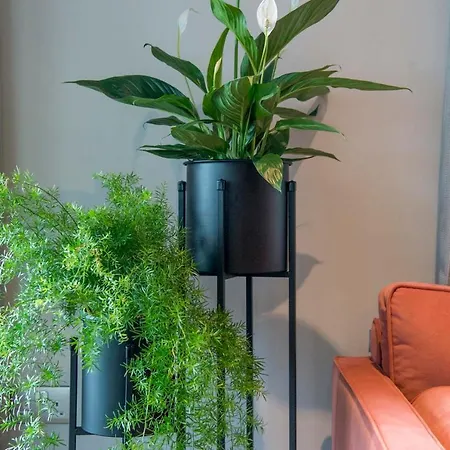 The Quadrant - The Botanical Apartment York