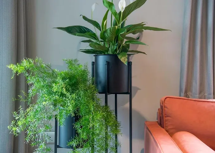 The Quadrant - The Botanical Apartment