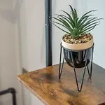 The Quadrant - The Botanical * York